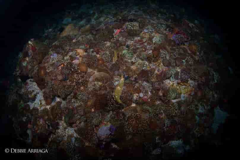 Thumbnail 3 Thumbnail 3