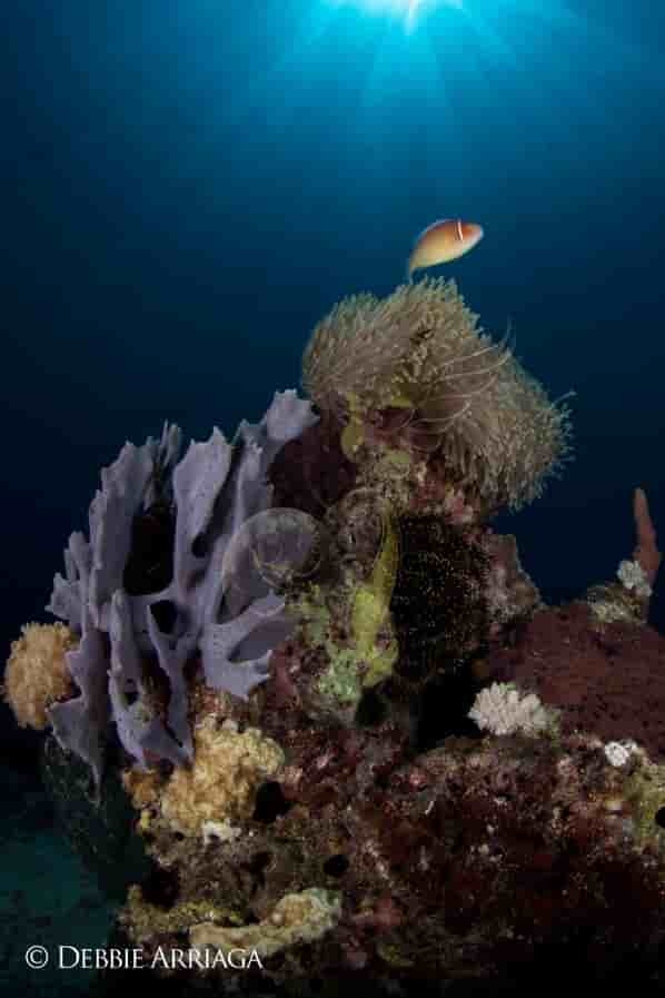 Thumbnail 4 Thumbnail 4