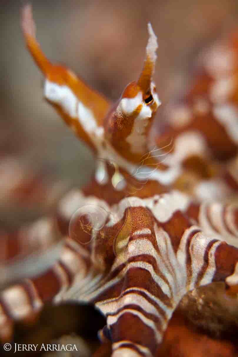 Thumbnail 5 Thumbnail 5