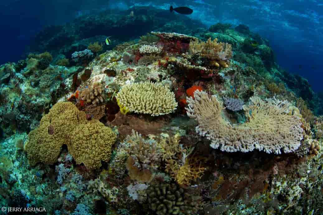 Thumbnail 6 Thumbnail 6