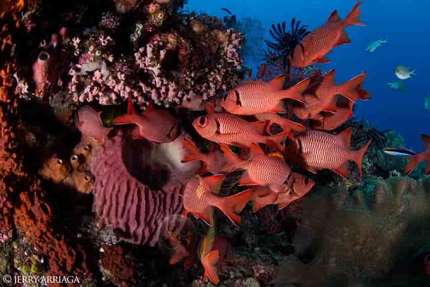 Thumbnail 7 Thumbnail 7