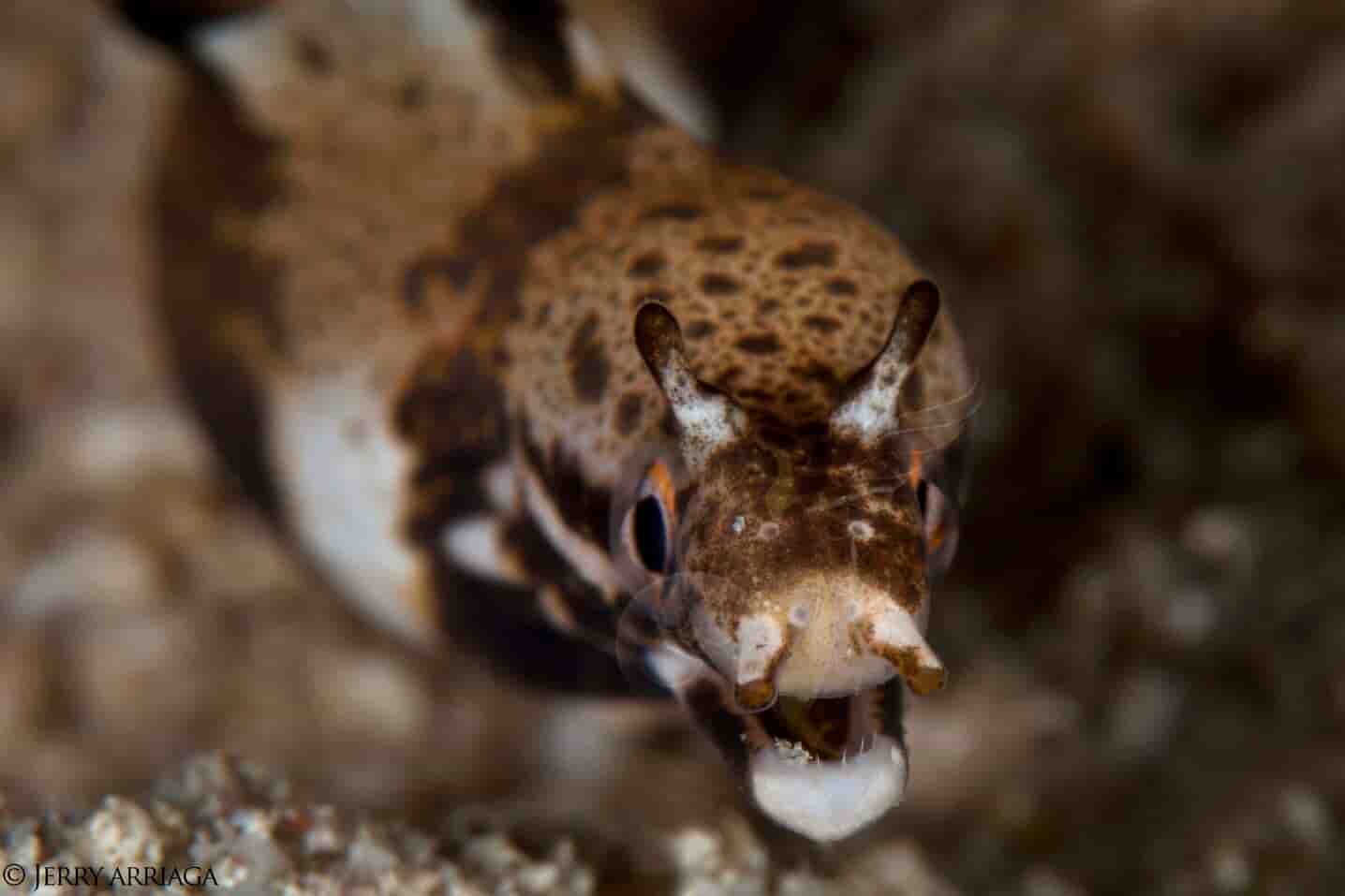 Thumbnail 8 Thumbnail 8