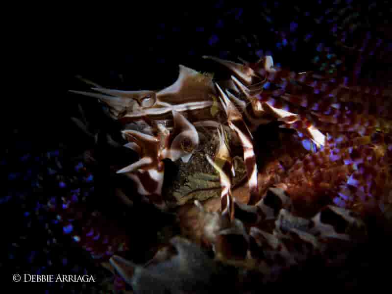 Thumbnail 9 Thumbnail 9