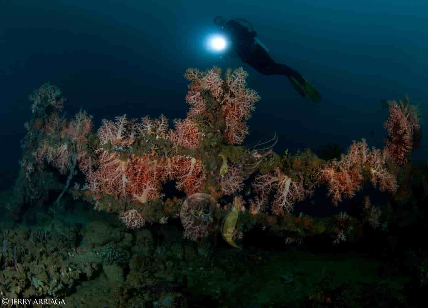 Thumbnail 10 Thumbnail 10