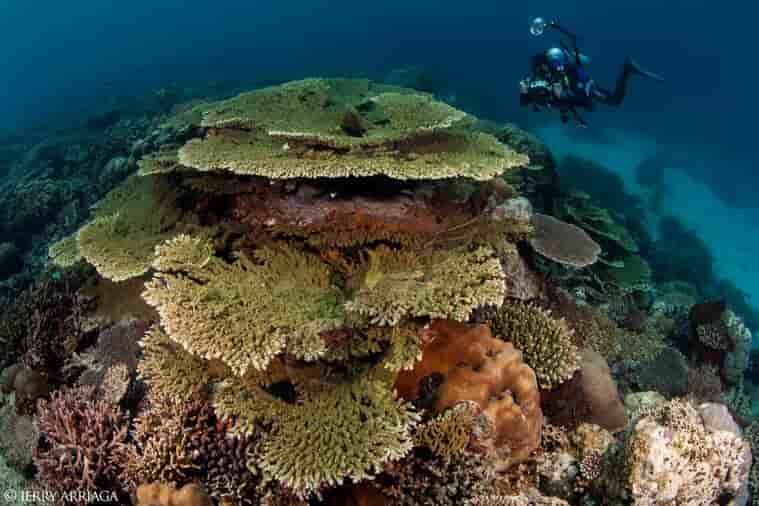 Thumbnail 11 Thumbnail 11