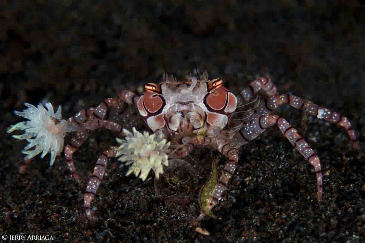 Thumbnail 12 Thumbnail 12