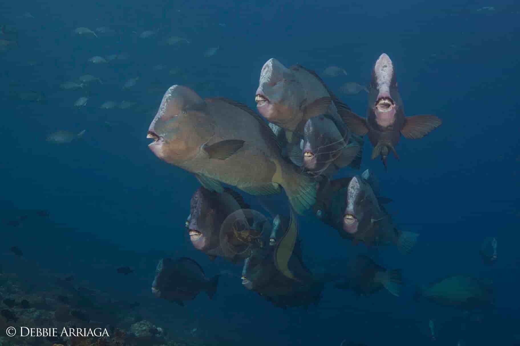 Thumbnail 13 Thumbnail 13