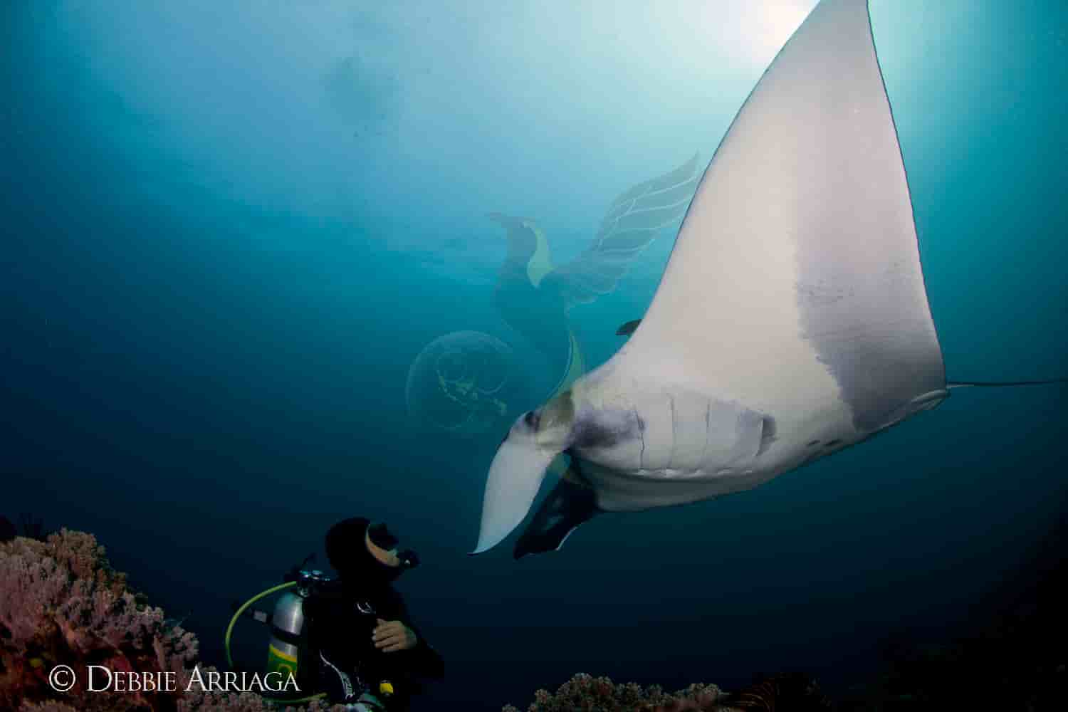 Thumbnail 15 Thumbnail 15