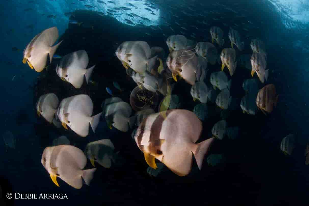 Thumbnail 16 Thumbnail 16