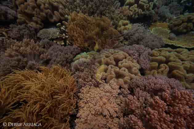 Thumbnail 17 Thumbnail 17