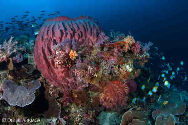 Thumbnail 18 Thumbnail 18