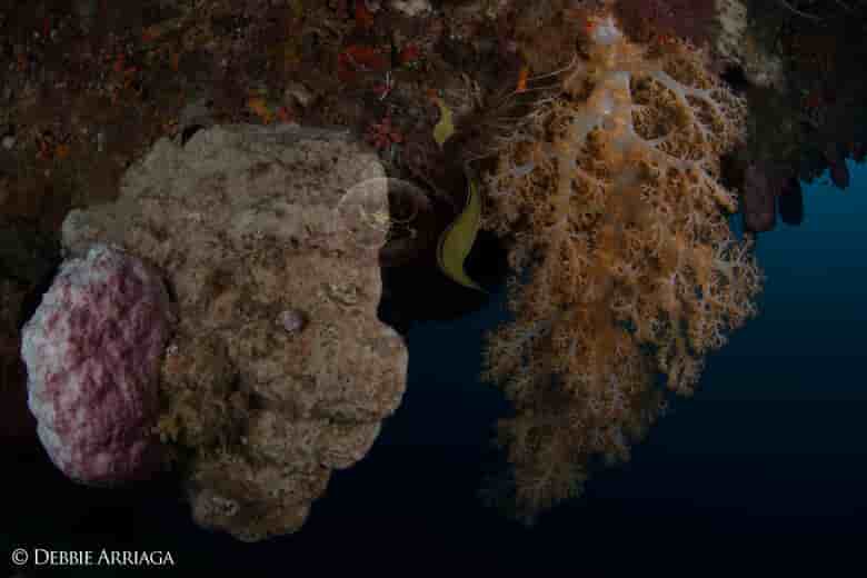 Thumbnail 19 Thumbnail 19