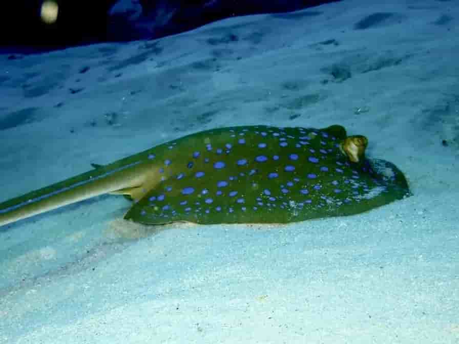 Thumbnail 2 Thumbnail 2