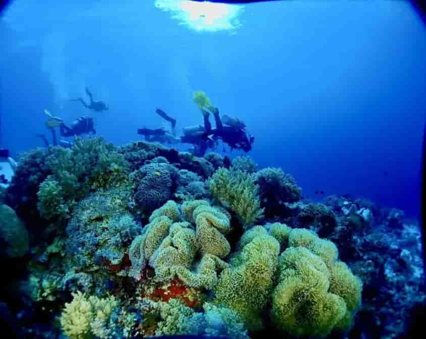 Thumbnail 3 Thumbnail 3