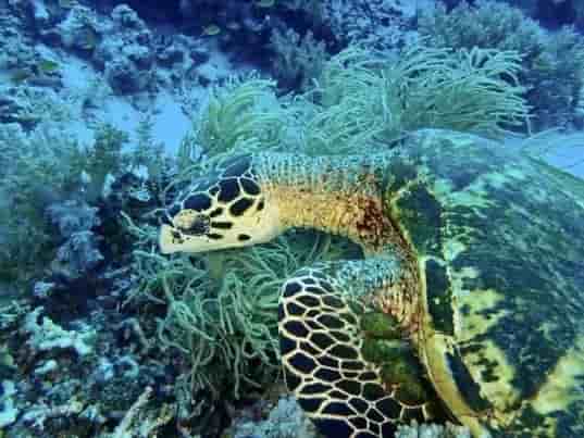 Thumbnail 4 Thumbnail 4