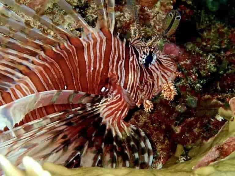 Thumbnail 6 Thumbnail 6