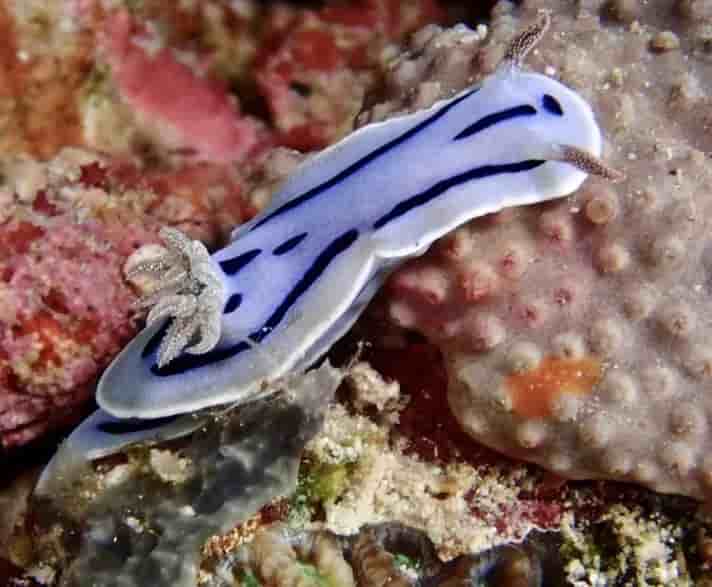 Thumbnail 7 Thumbnail 7