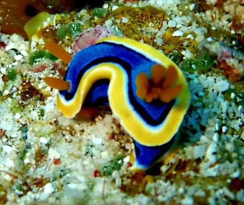 Thumbnail 9 Thumbnail 9