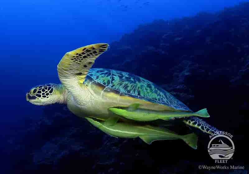 Thumbnail 2 Thumbnail 2