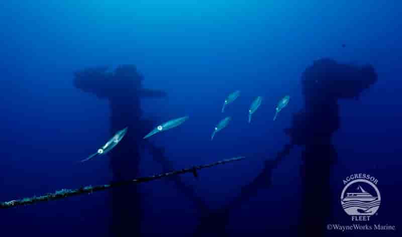 Thumbnail 3 Thumbnail 3