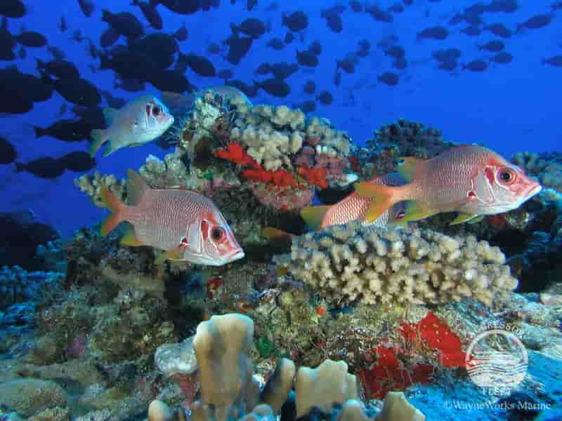 Thumbnail 5 Thumbnail 5