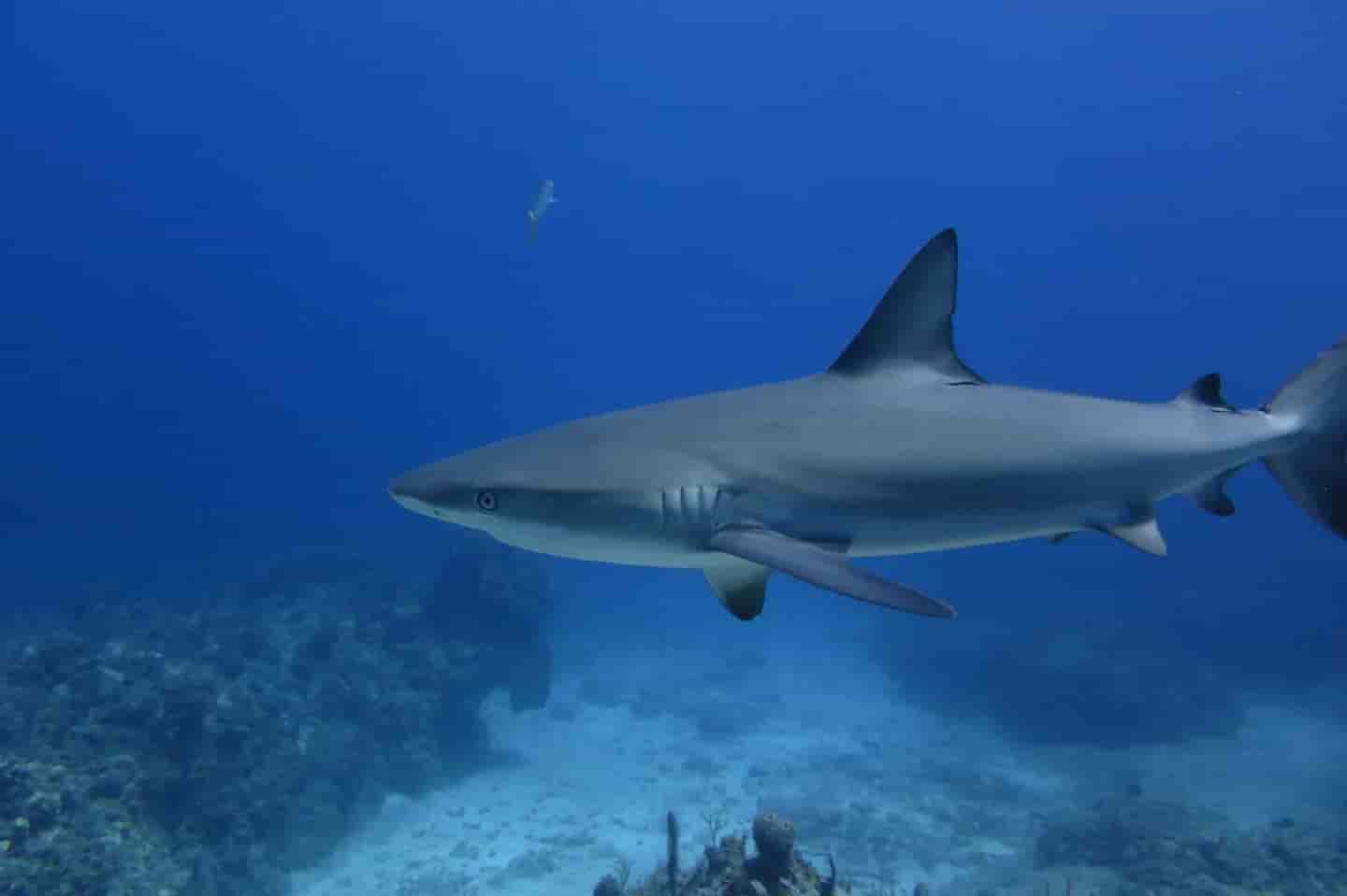 Thumbnail 11 Thumbnail 11