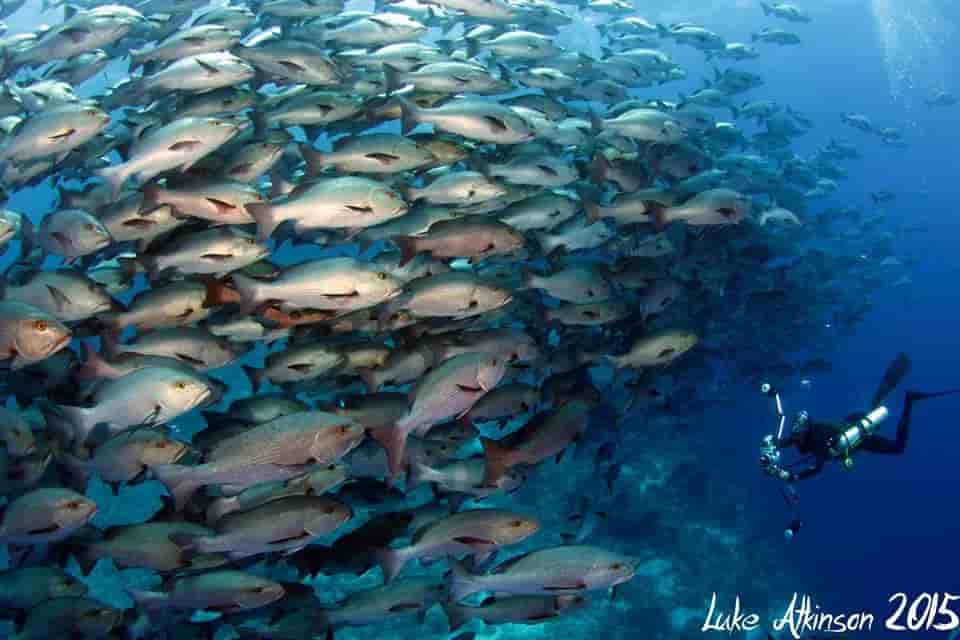 Thumbnail 9 Thumbnail 9