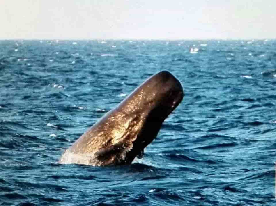 Thumbnail 10 Thumbnail 10