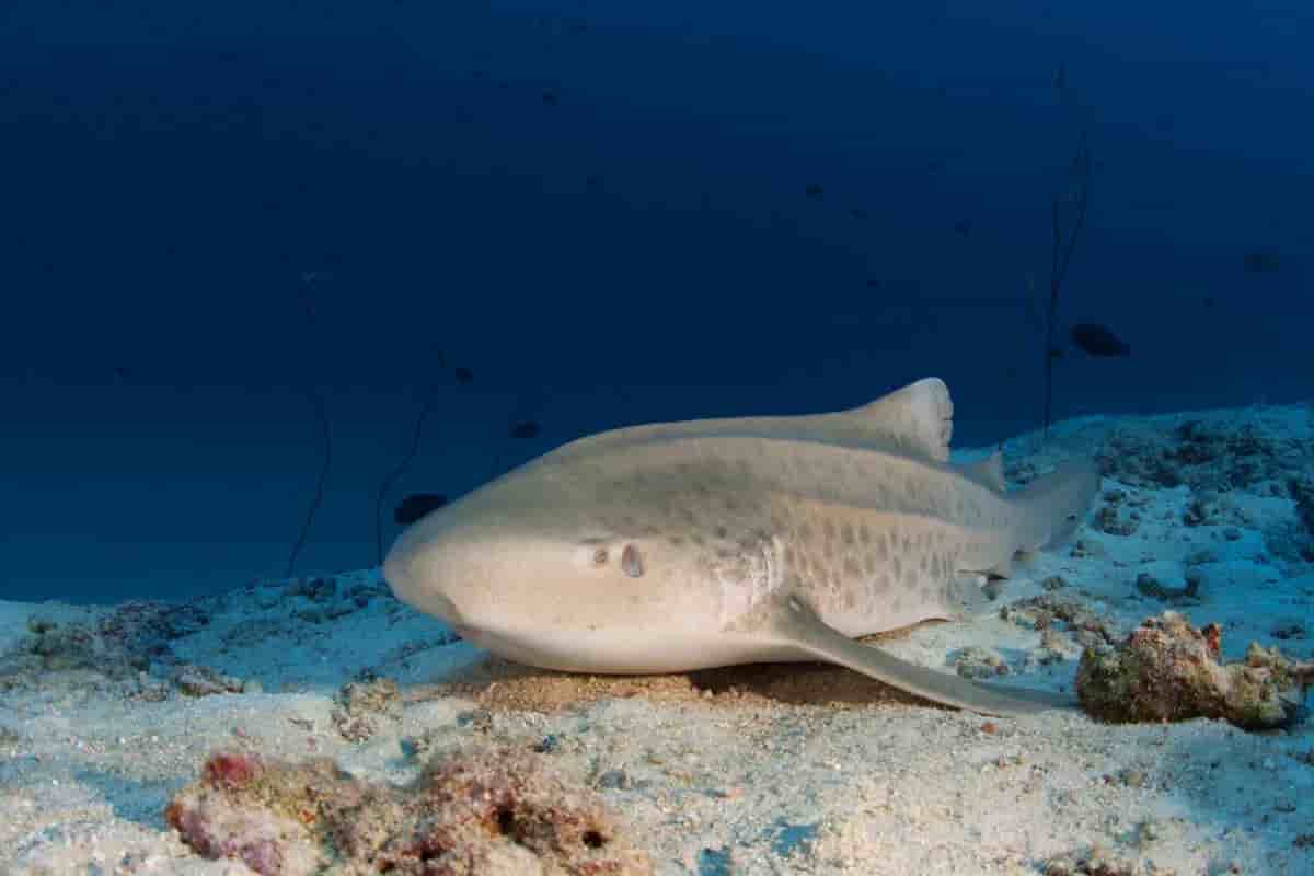 Thumbnail 3 Thumbnail 3