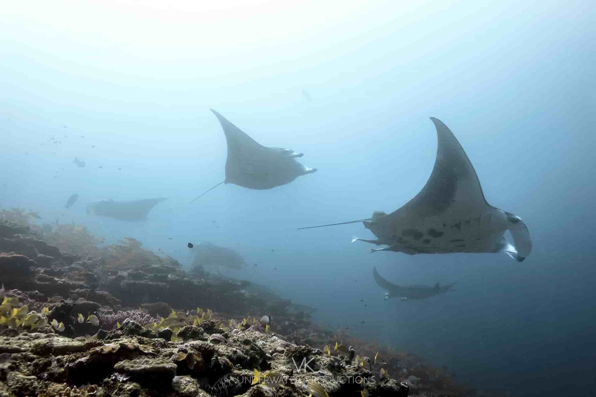 Thumbnail 2 Thumbnail 2