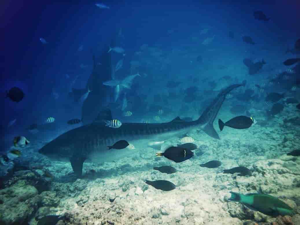 Thumbnail 6 Thumbnail 6