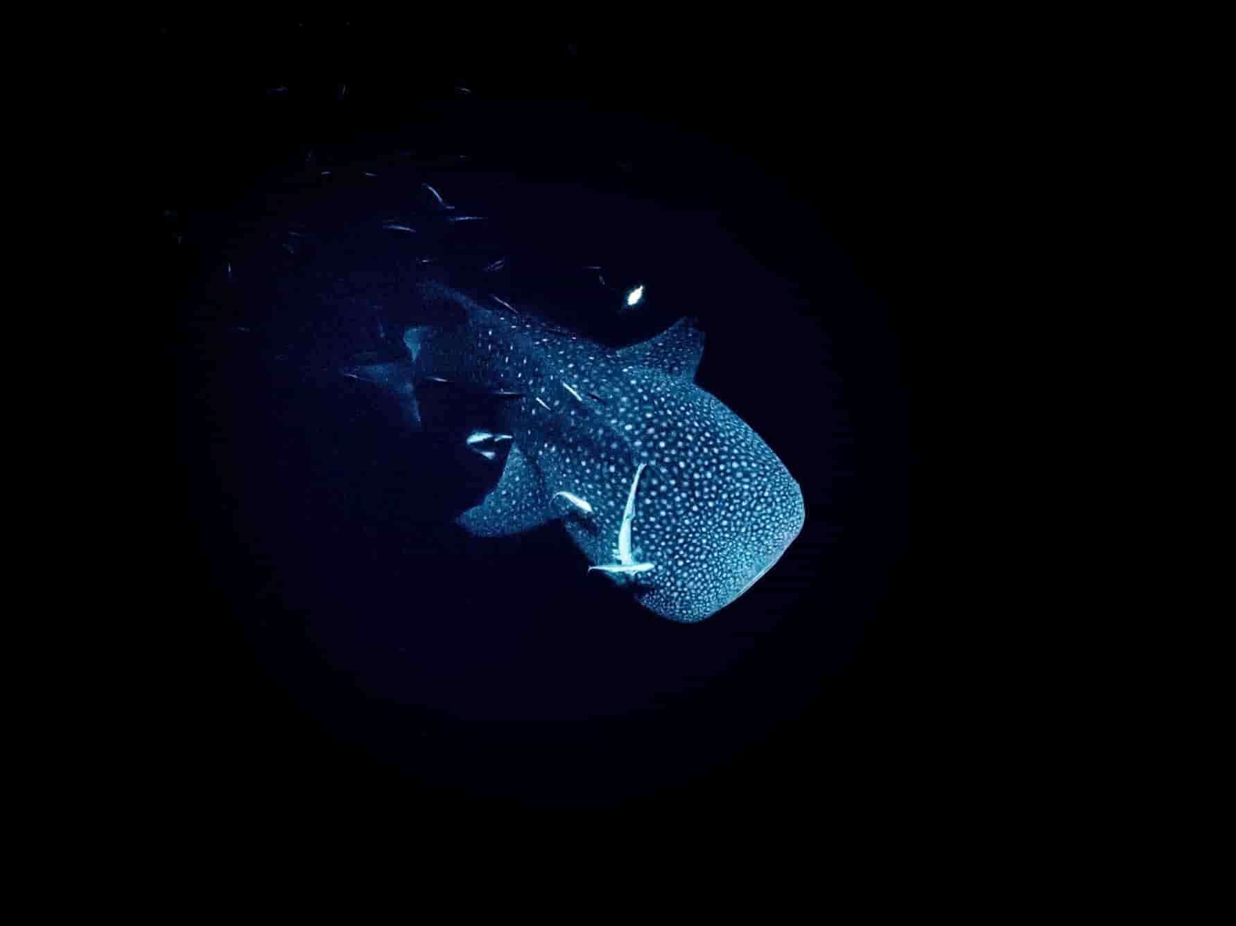 Thumbnail 7 Thumbnail 7