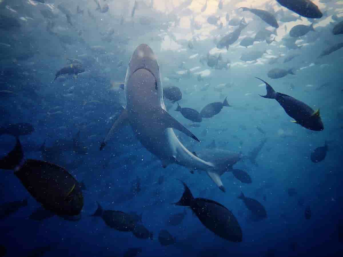 Thumbnail 9 Thumbnail 9