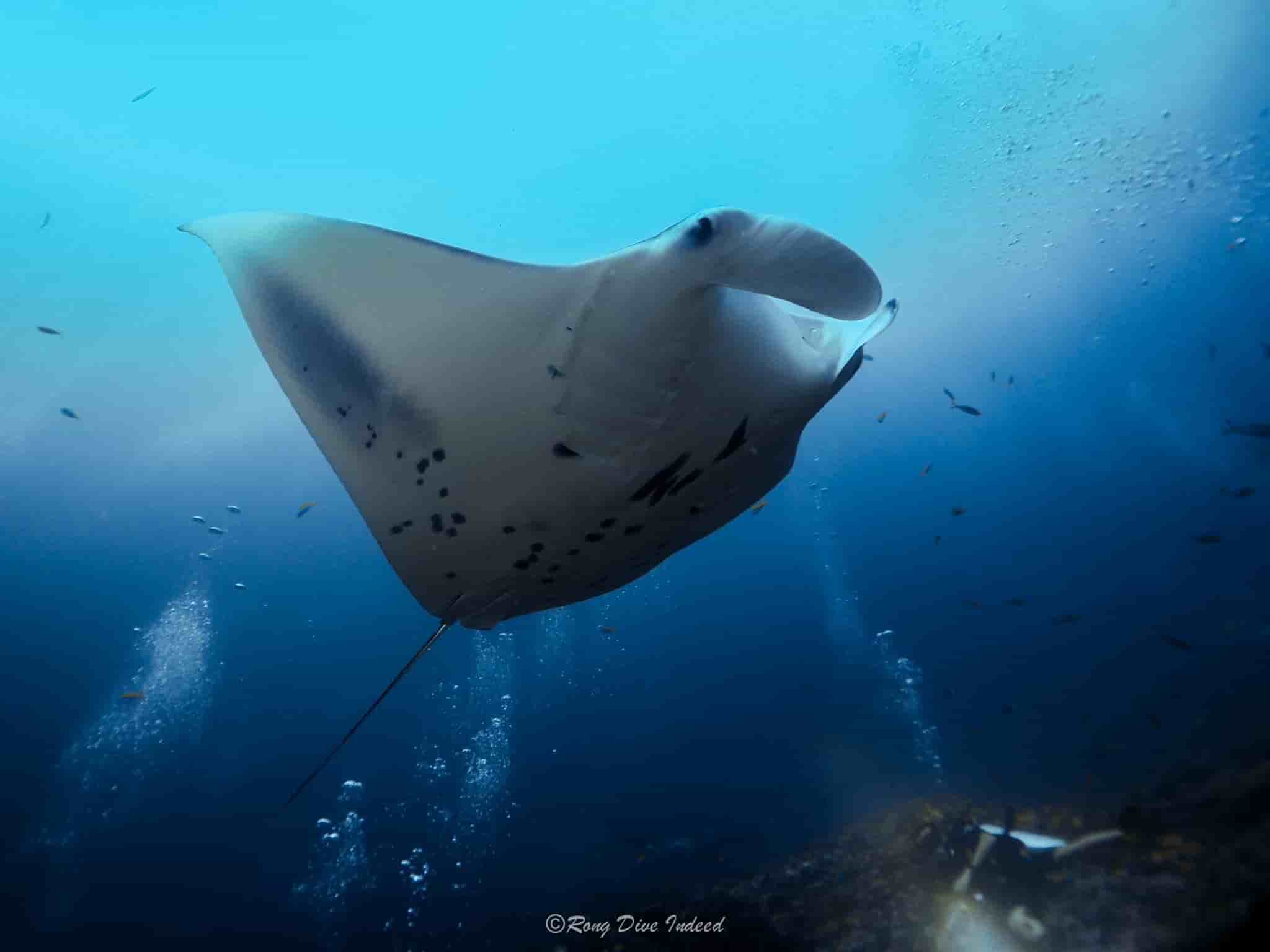 Thumbnail 11 Thumbnail 11