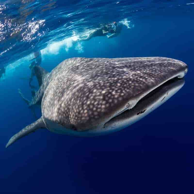 Thumbnail 13 Thumbnail 13