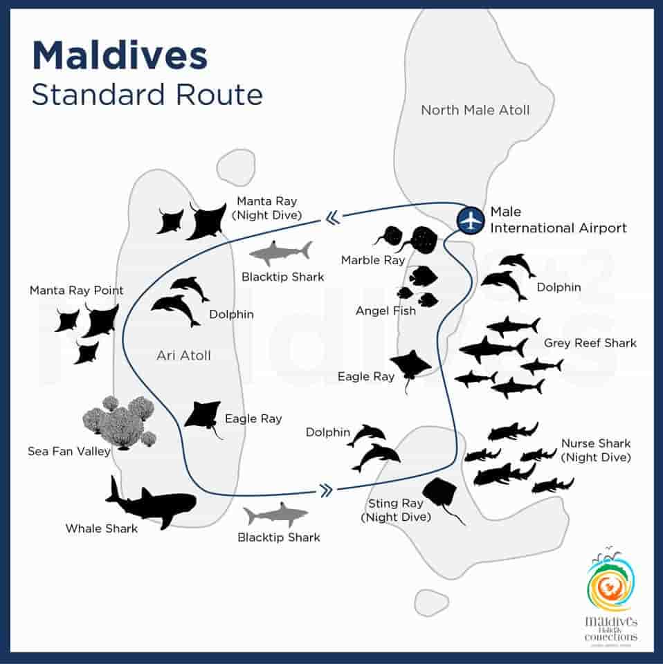 Thumbnail 26 Thumbnail 26