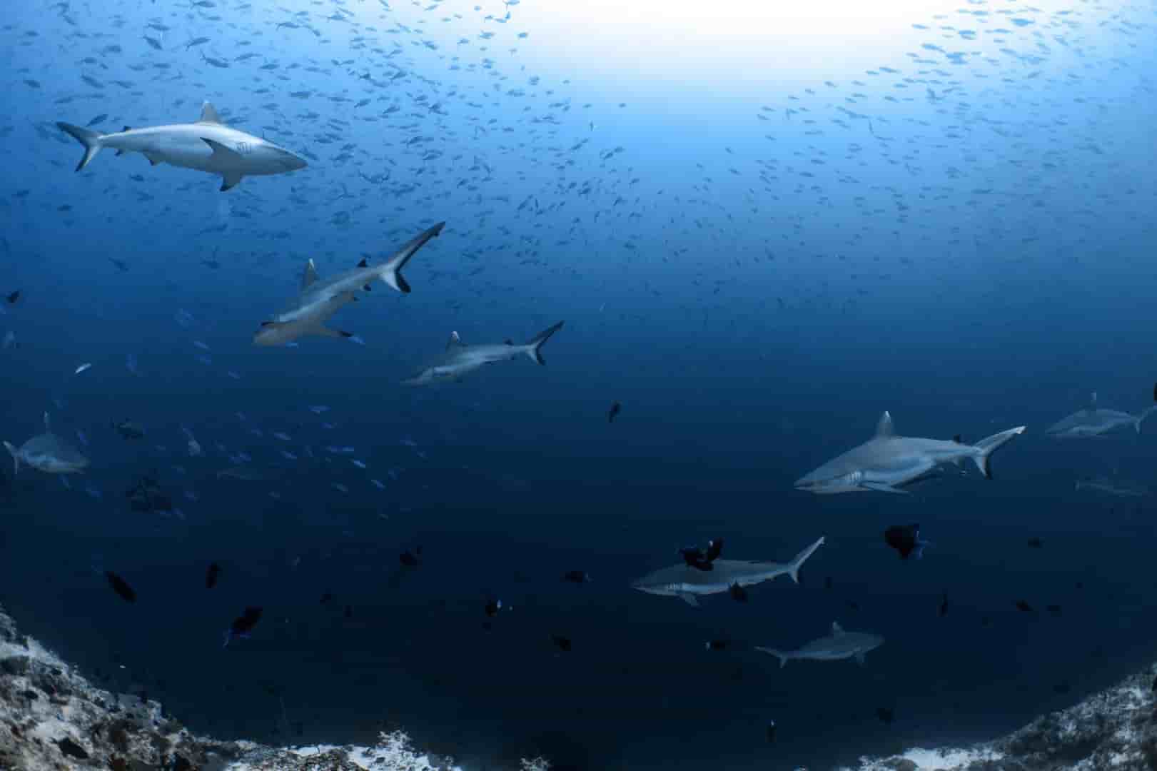 Thumbnail 3 Thumbnail 3