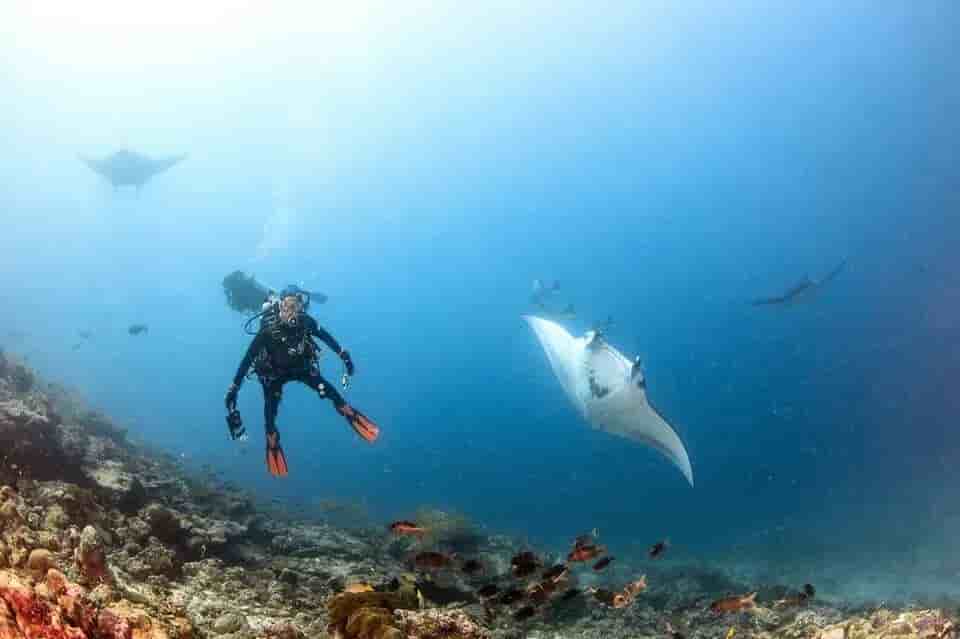 Thumbnail 9 Thumbnail 9