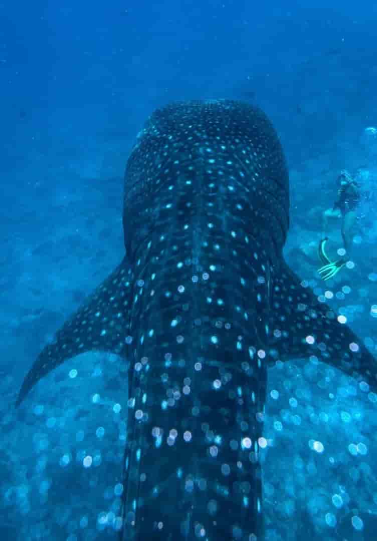 Thumbnail 13 Thumbnail 13