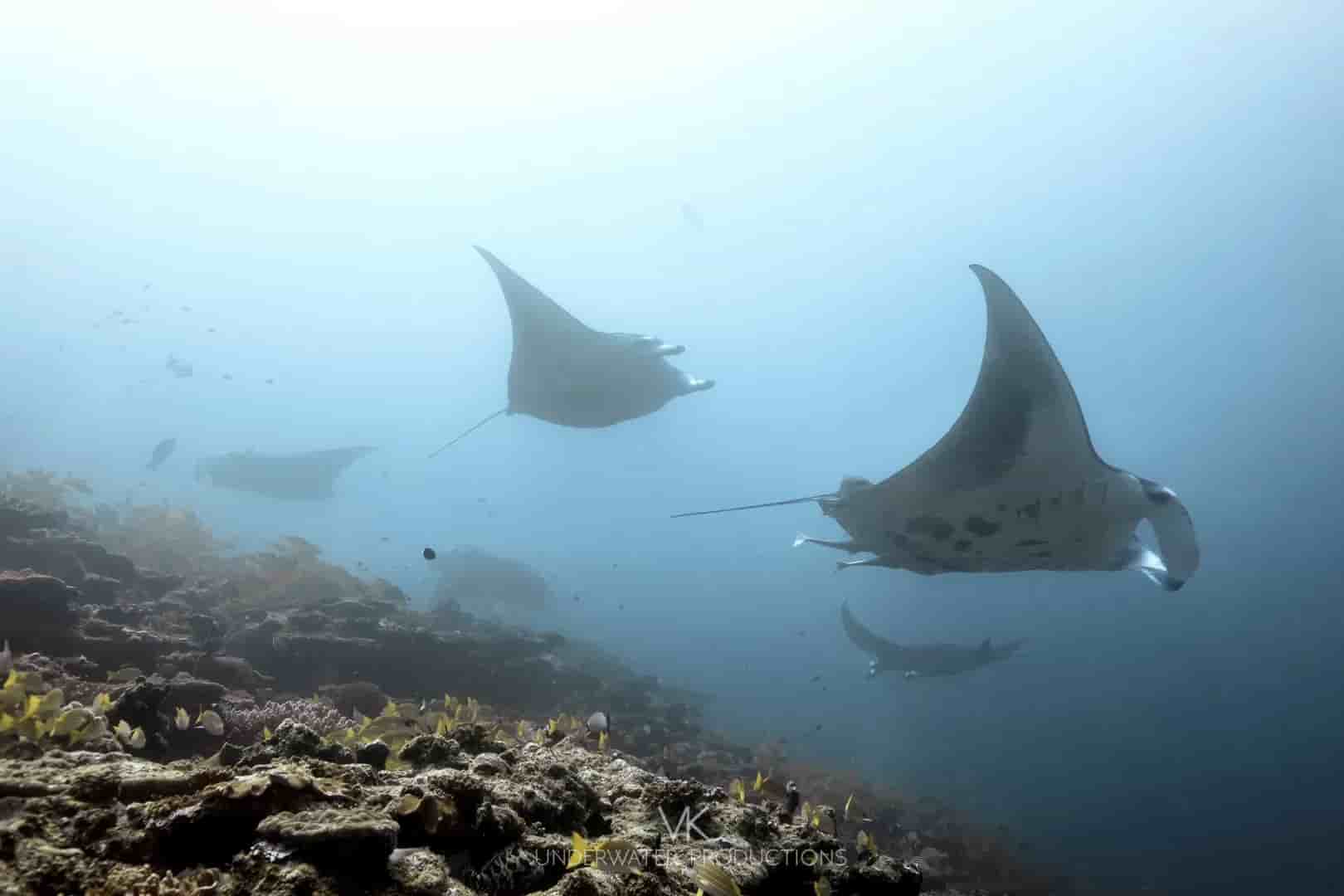 Thumbnail 1 Thumbnail 1