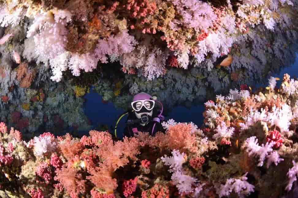 Thumbnail 2 Thumbnail 2