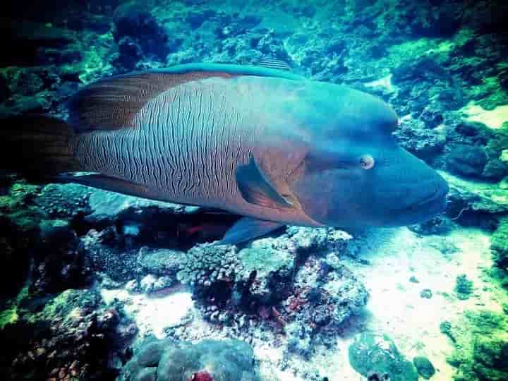 Thumbnail 7 Thumbnail 7