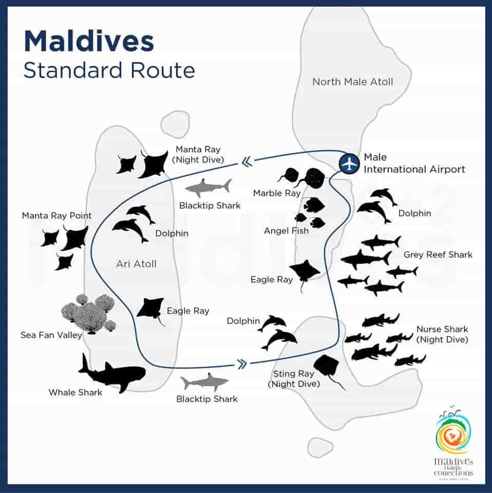 Thumbnail 25 Thumbnail 25