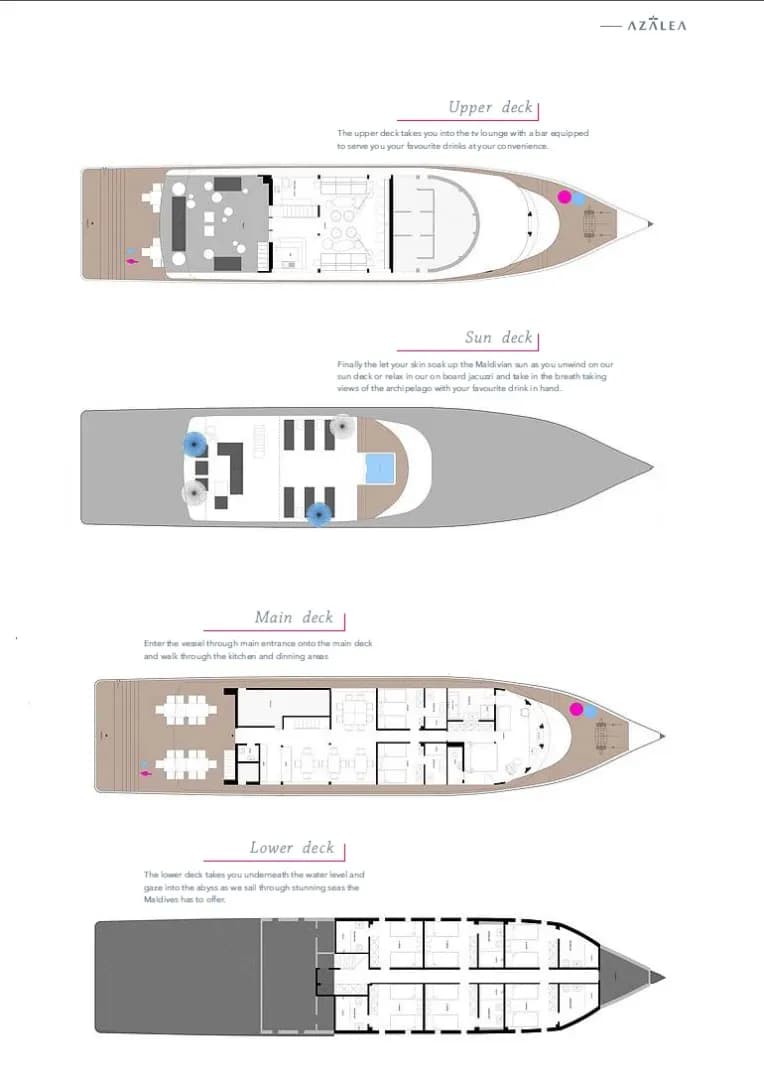 Azalea Cruise - image Azalea Cruise - image