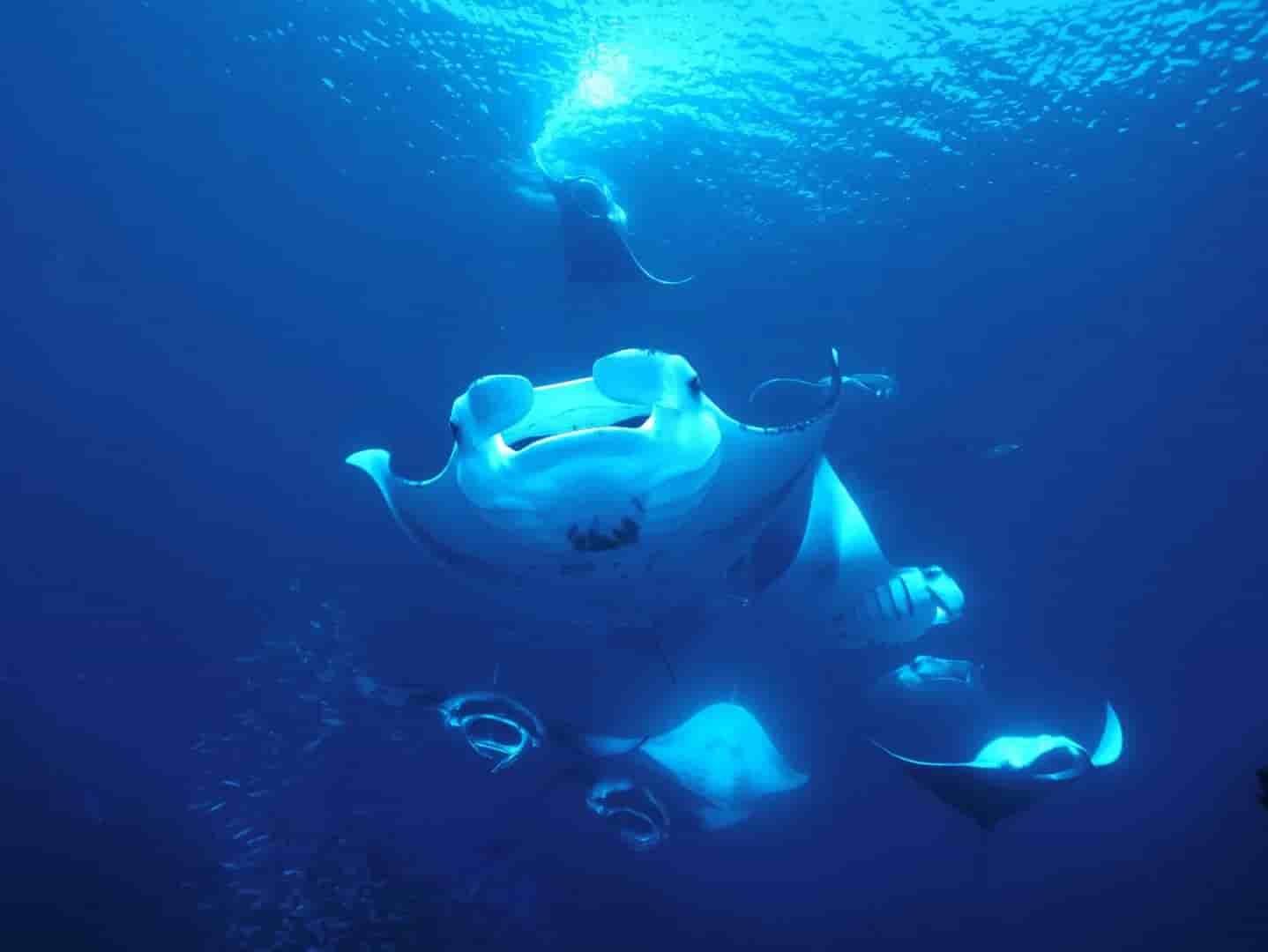 Thumbnail 4 Thumbnail 4