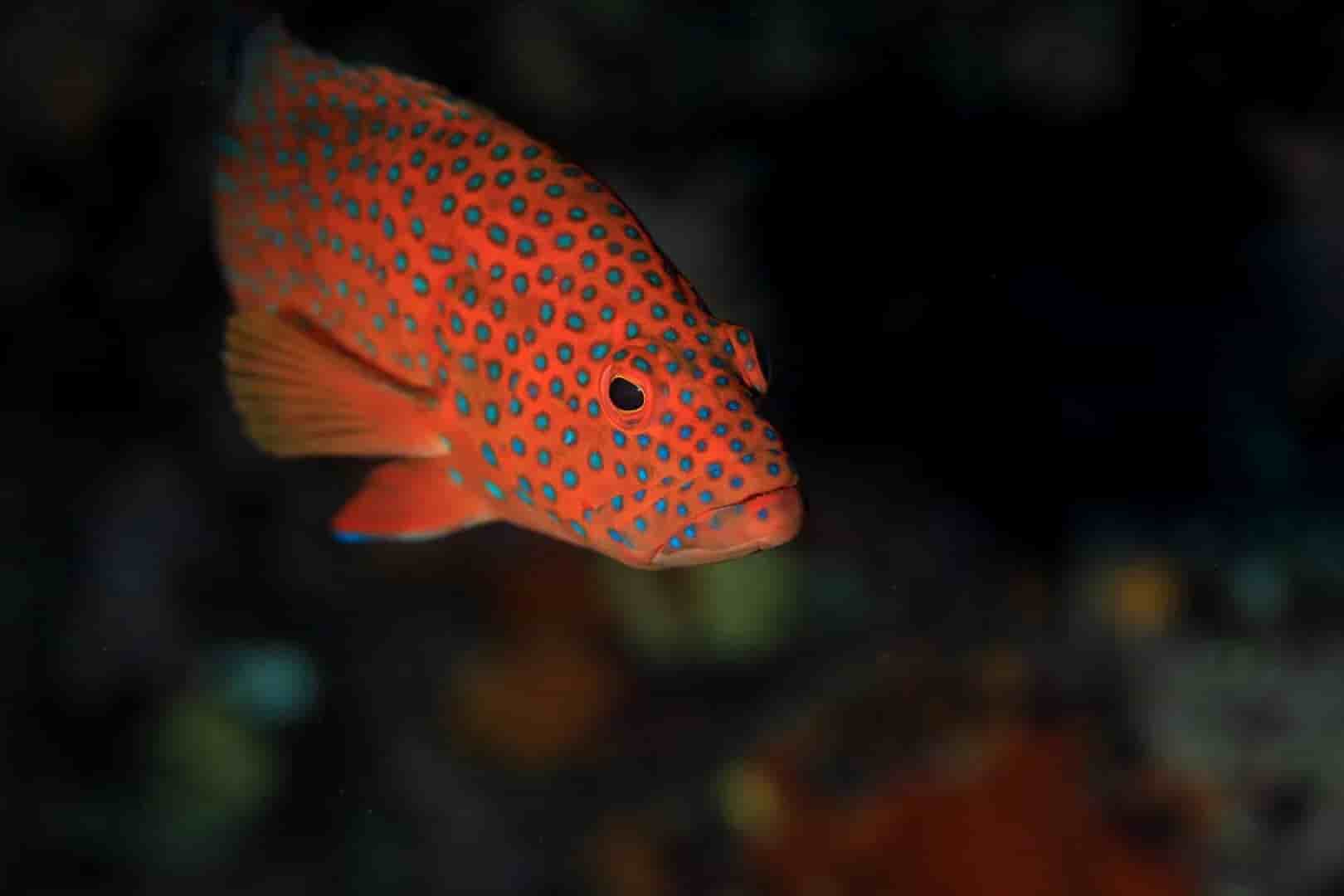 Thumbnail 5 Thumbnail 5