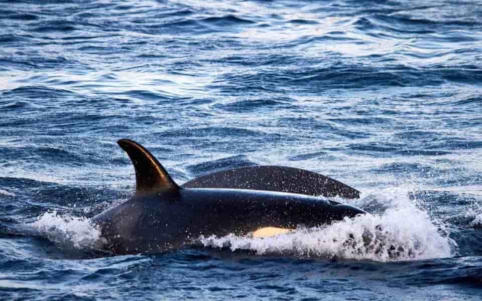 Thumbnail 8 Thumbnail 8