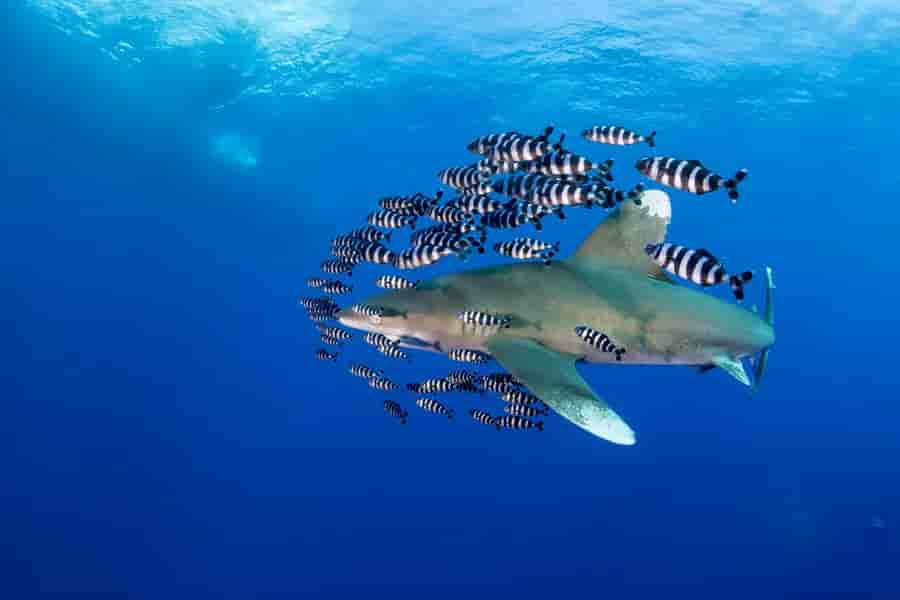 Thumbnail 17 Thumbnail 17