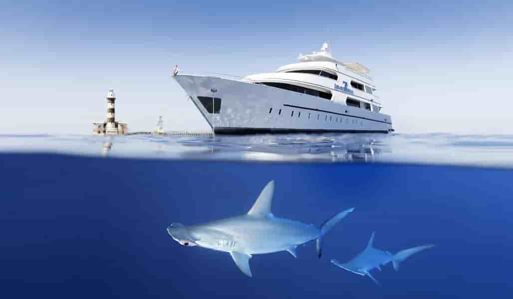 Thumbnail 22 Thumbnail 22