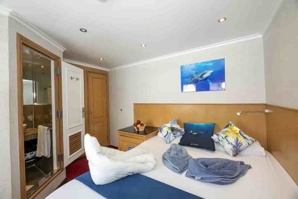 Thumbnail 25 Thumbnail 25